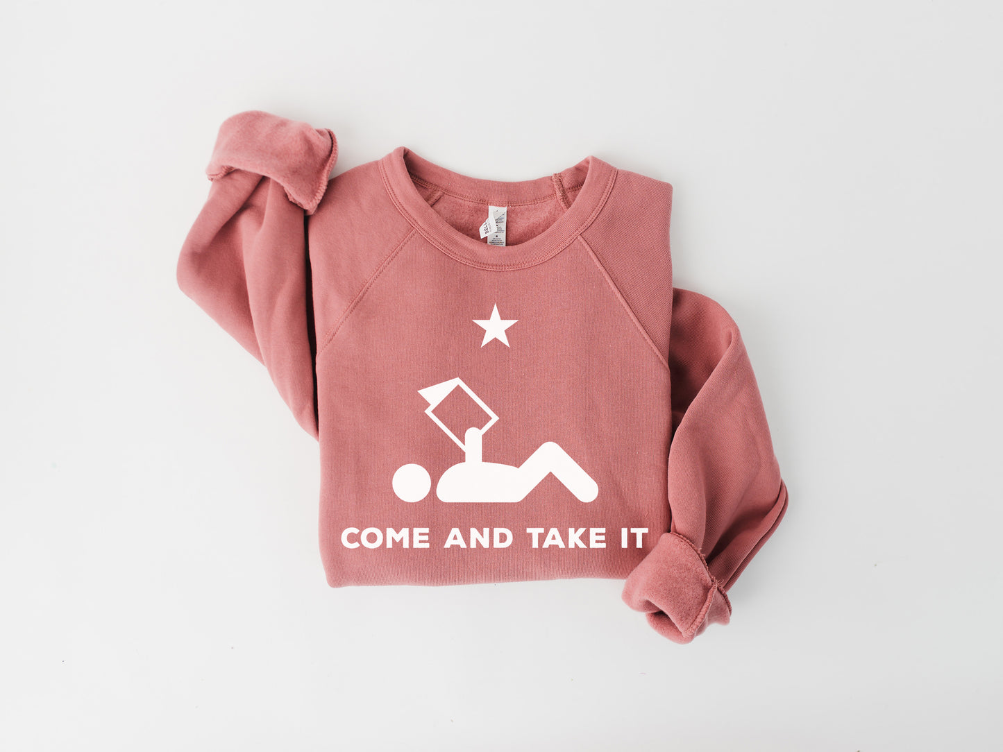 Come and Take it Banned Books Sweatshirt