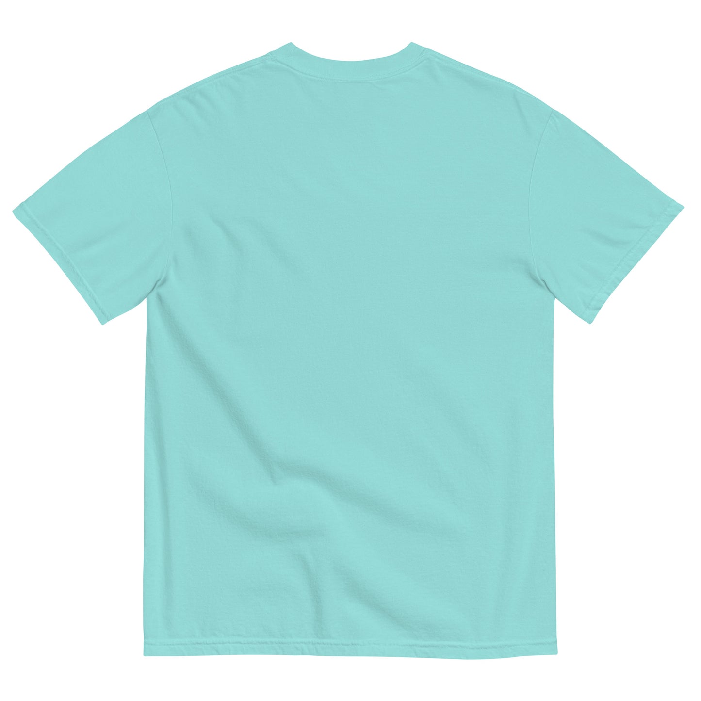 It's Ok NOT to Like a Book Unisex Garment-Dyed Heavyweight T-shirt