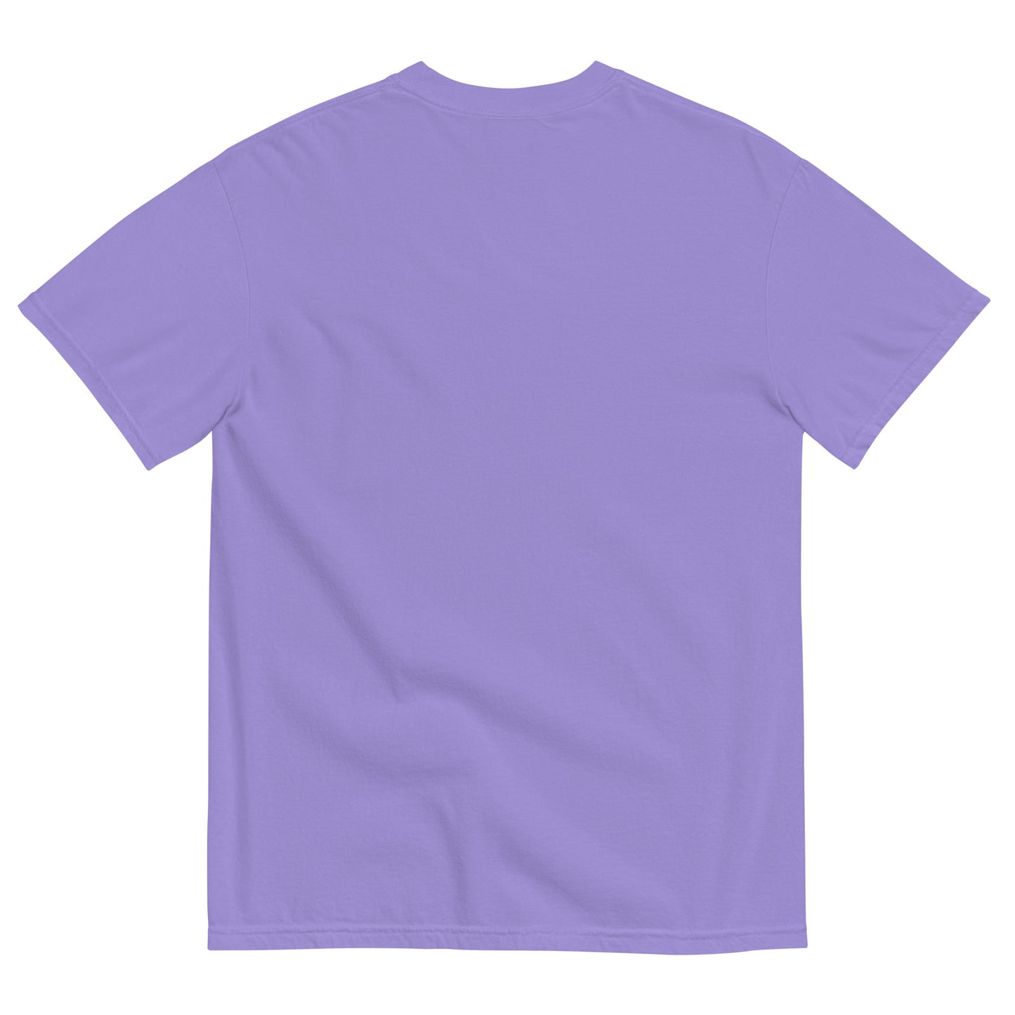 It's Ok NOT to Like a Book Unisex Garment-Dyed Heavyweight T-shirt